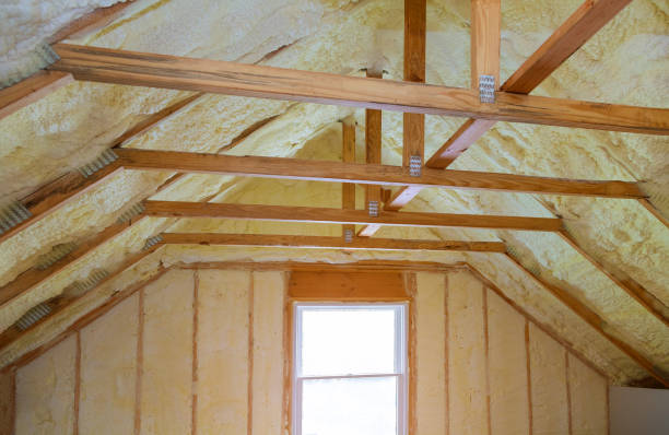 Types of Insulation We Offer in Lake Belvedere Estates, FL
