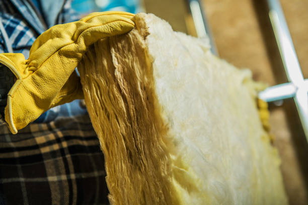 Types of Insulation We Offer in Lake Belvedere Estates, FL