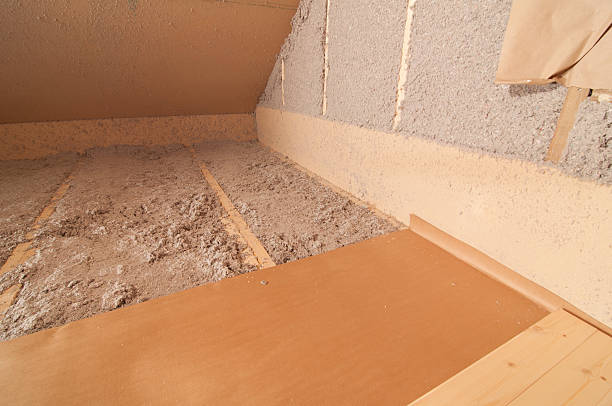 Best Eco-Friendly Insulation in Lake Belvedere Estates, FL