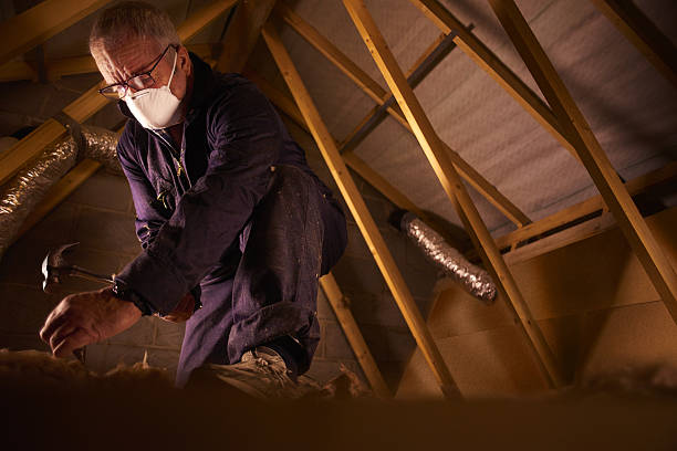 Professional Insulation Contractor in Lake Belvedere Estates, FL