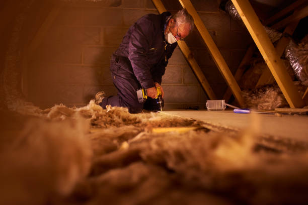 Best Insulation for Specific Applications in Lake Belvedere Estates, FL